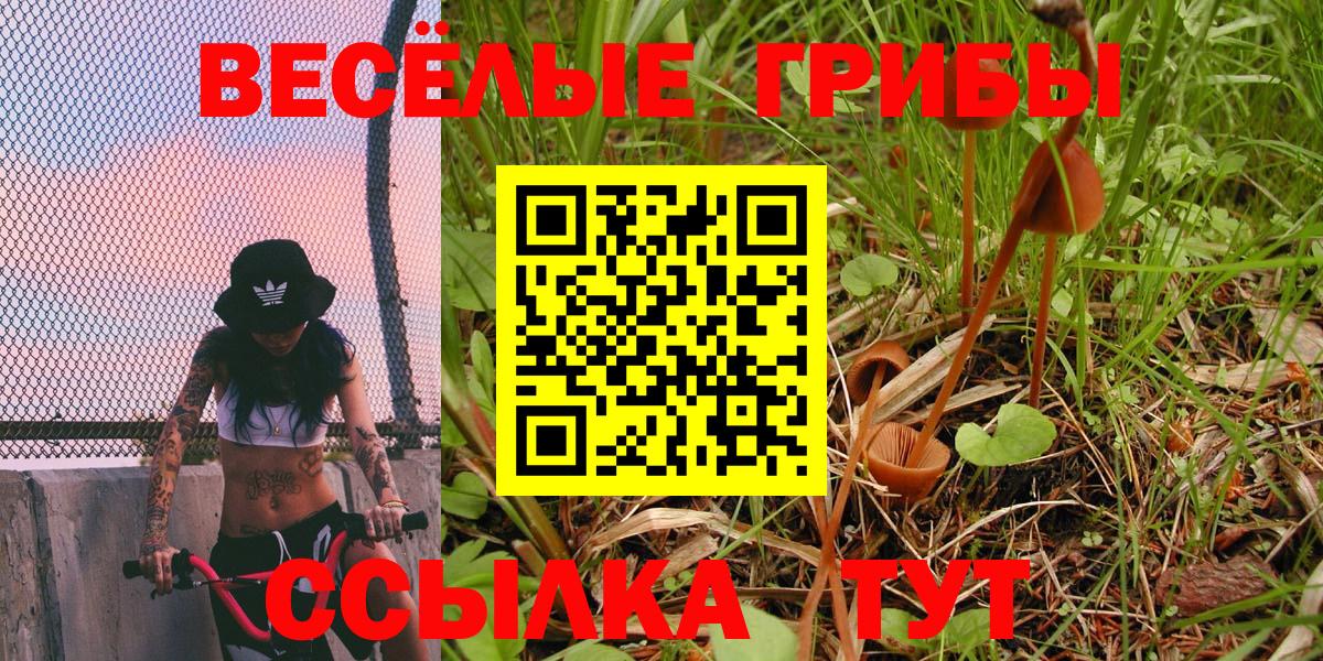 Галлюциногенные грибы ЛСД  Вход с VPN  Галлюциногенные грибы MAGIC MUSHROOMS  Волхов 