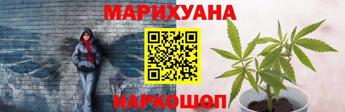 Канабис конопля Волхов